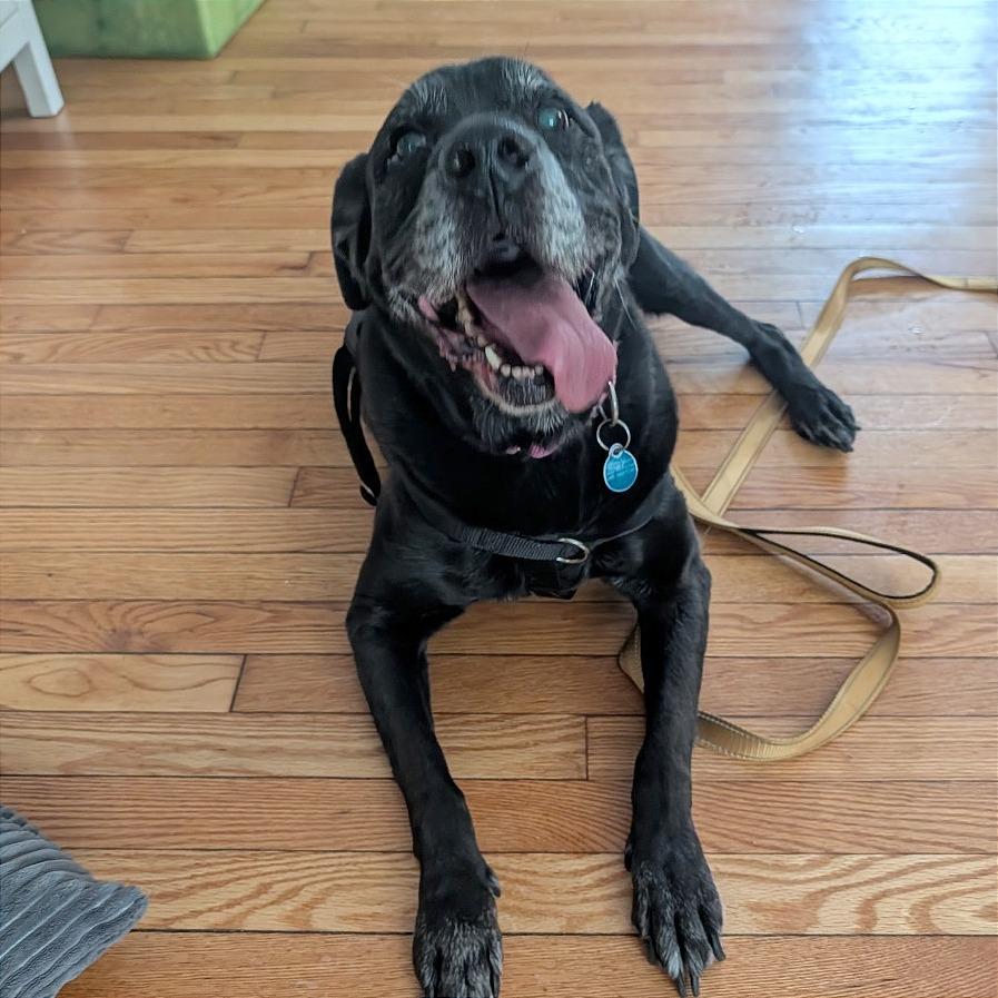 Cannoli — thumbnail 2