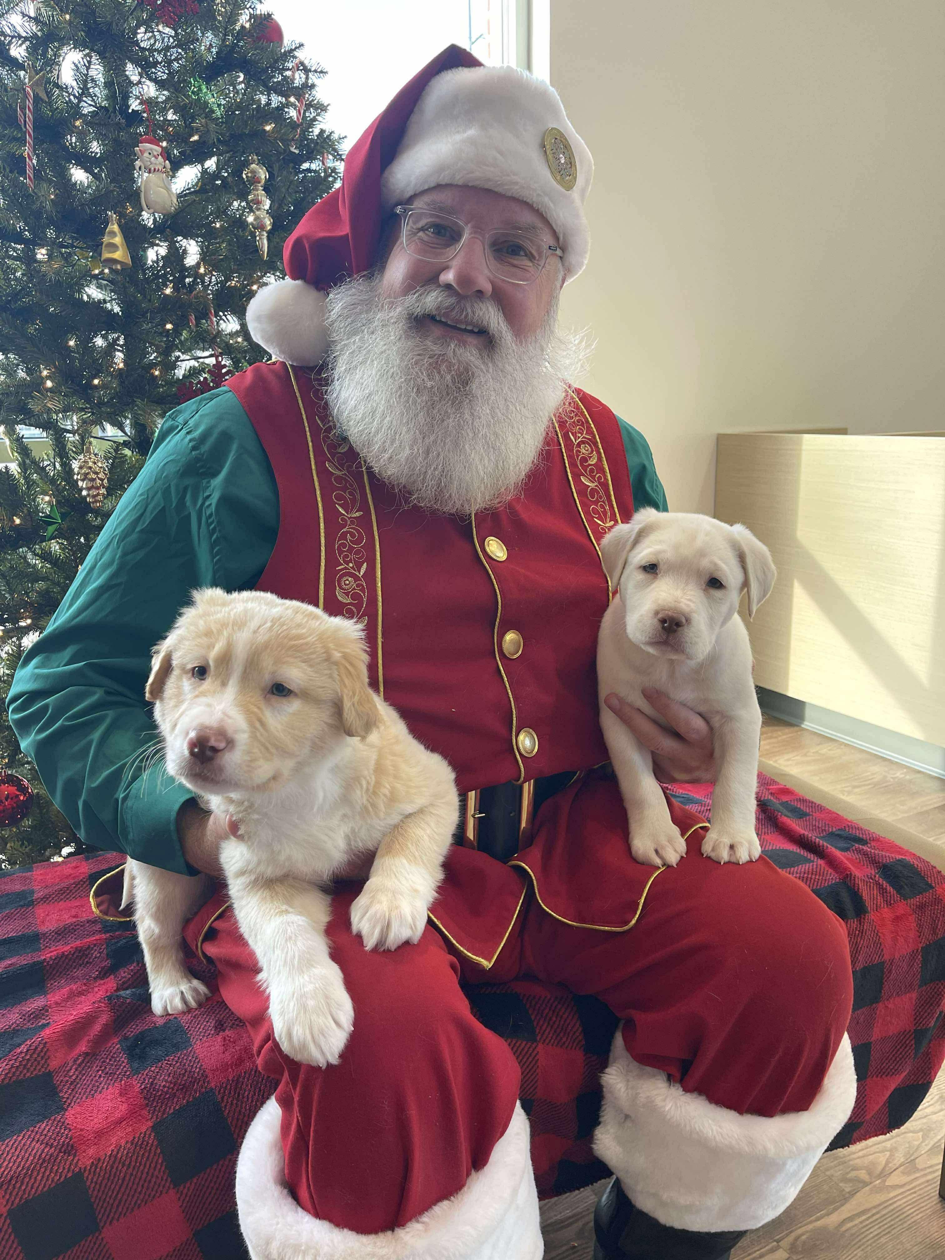 Teddy Ruxpin thumbnail 5