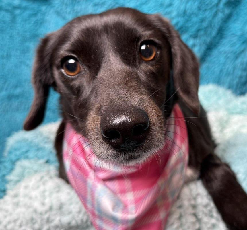 Monet - Once left behind, now looking for love!