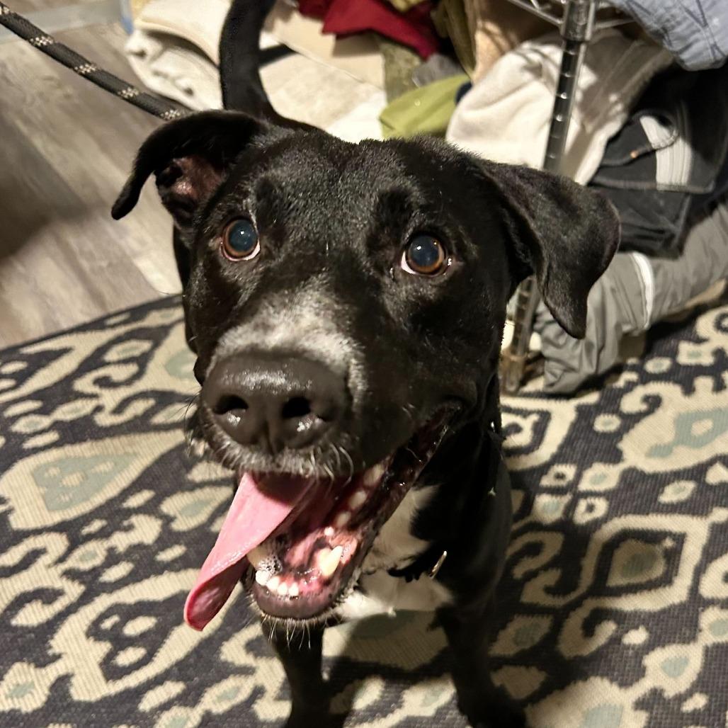 Buc-ee — thumbnail 2