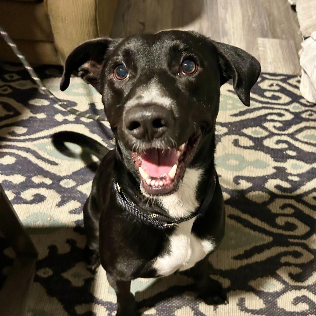 Buc-ee — thumbnail 3