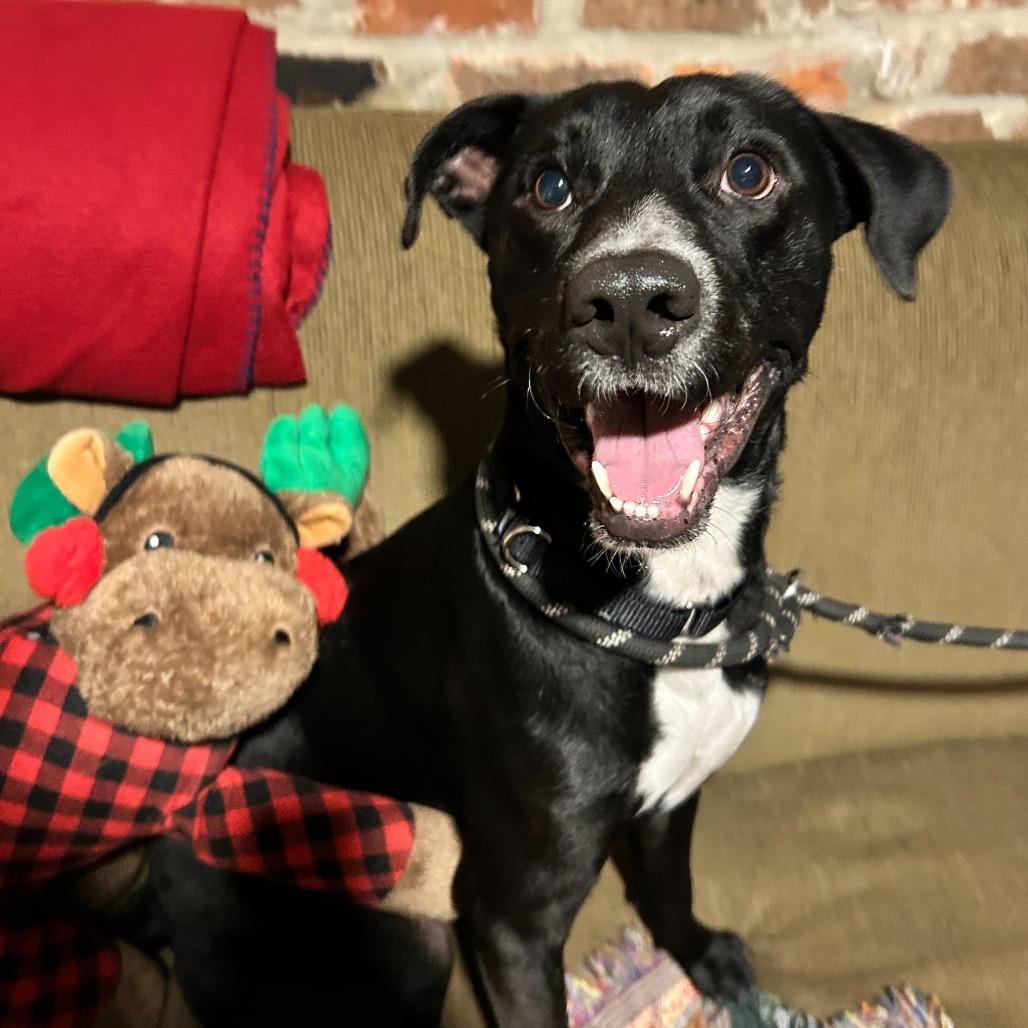 Buc-ee — thumbnail 4