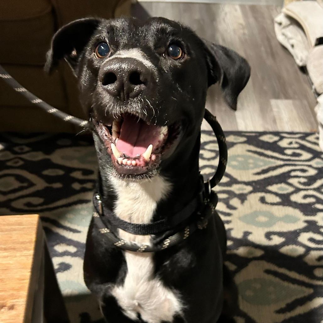 Buc-ee — thumbnail 5