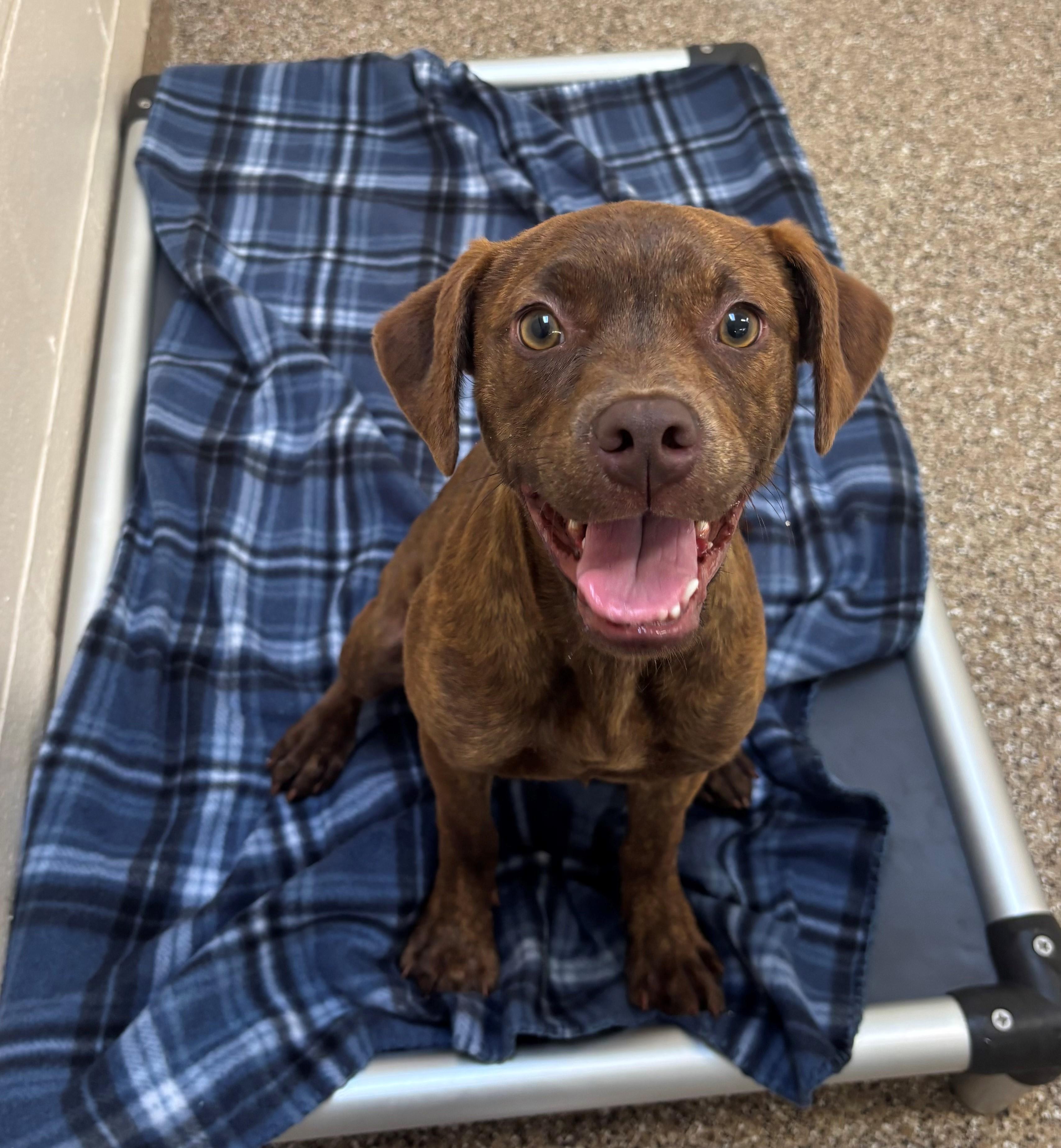 Jill — thumbnail 2