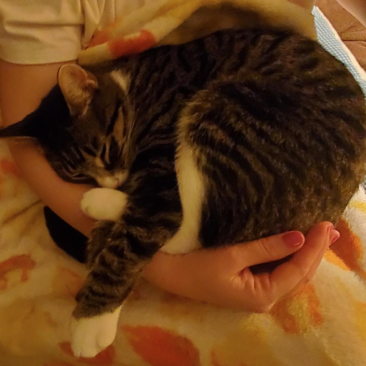 E. B. White thumbnail 2