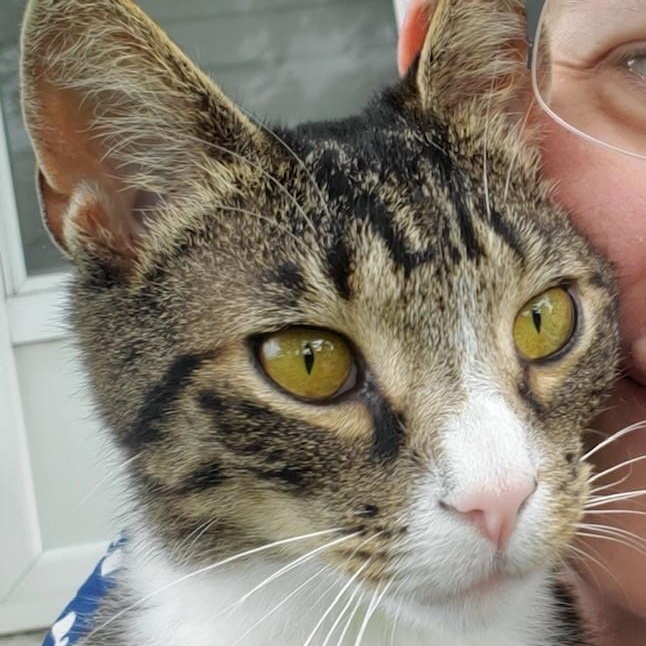 E. B. White thumbnail 3