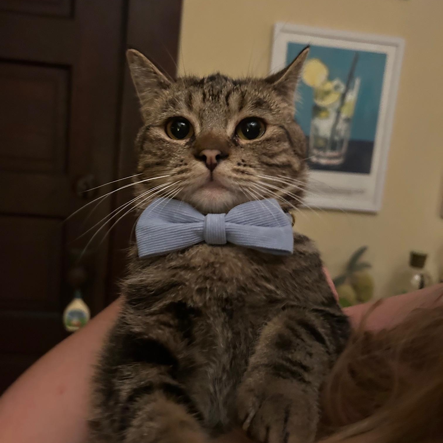 Franklin And Nashville  thumbnail 5