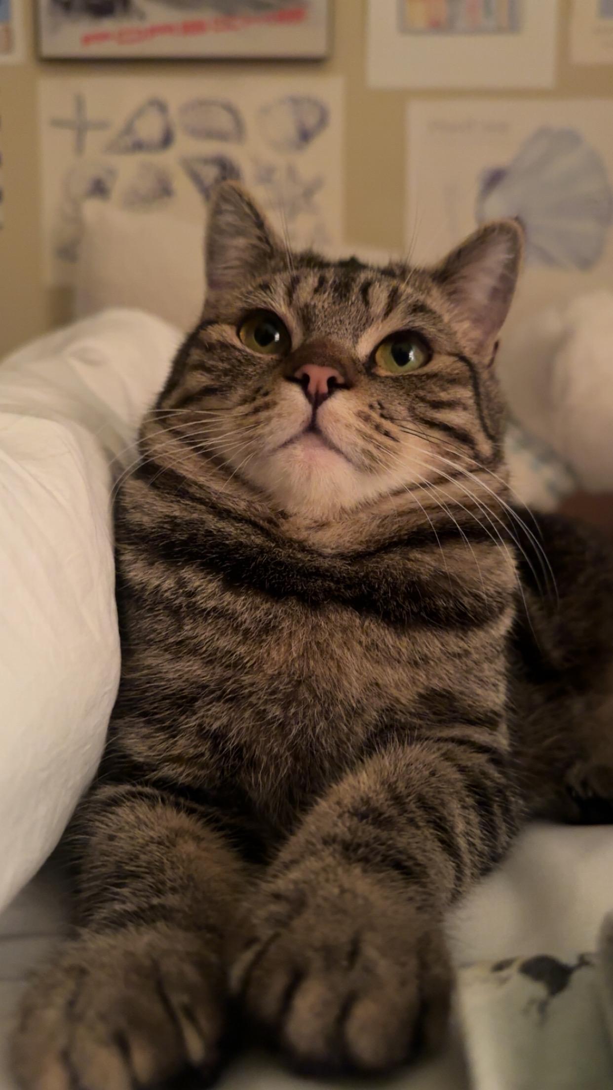 Franklin And Nashville  thumbnail 2