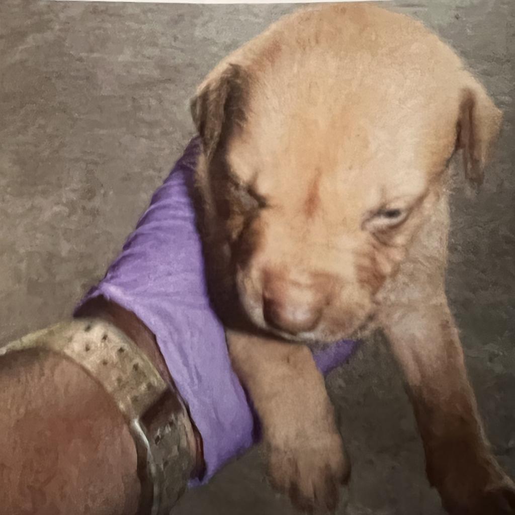 Nadia Aka Daisy thumbnail 2