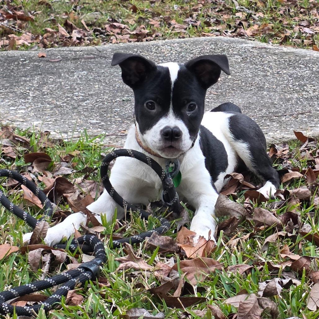 Daisy Sue — thumbnail 5