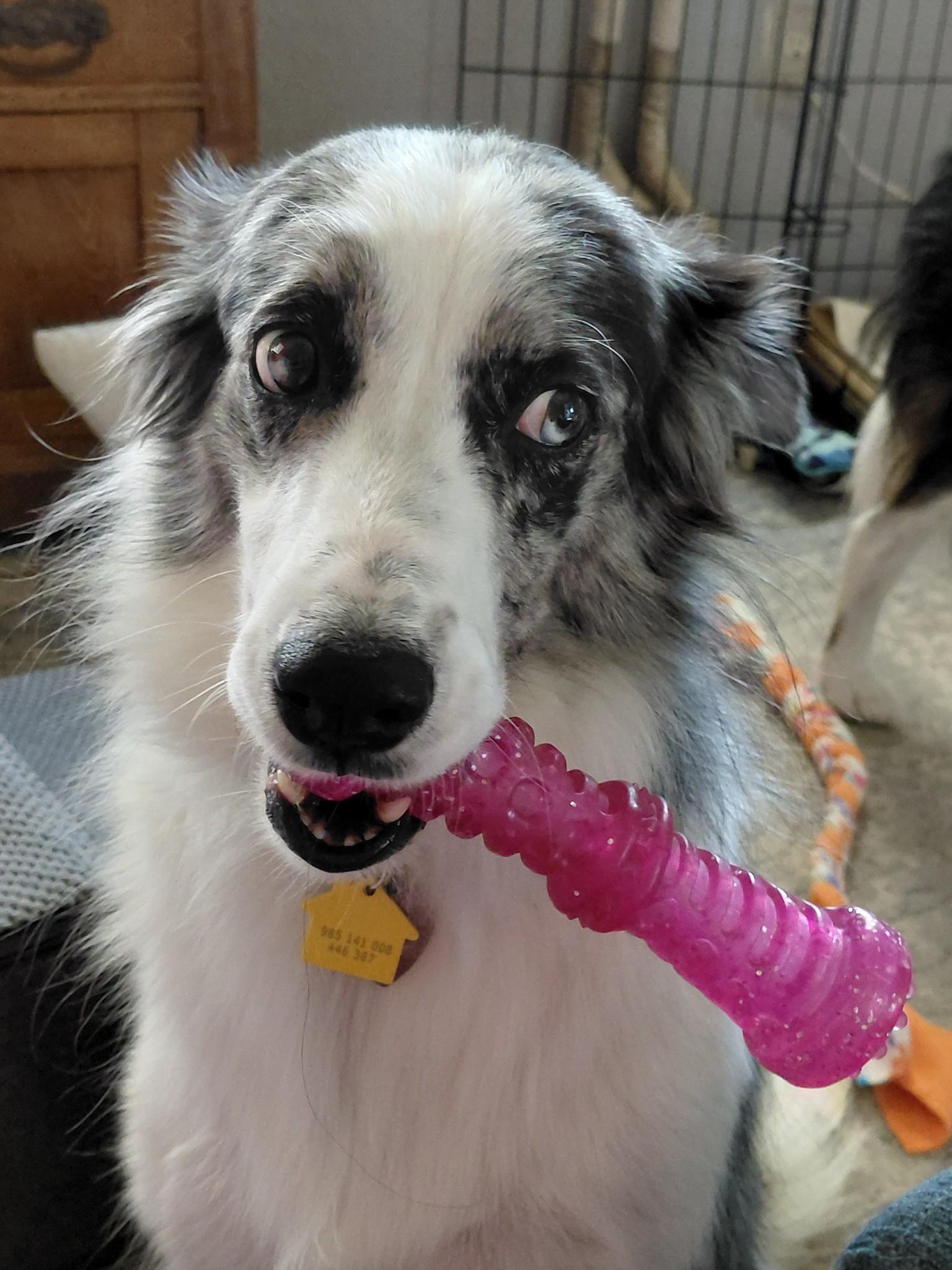Nala