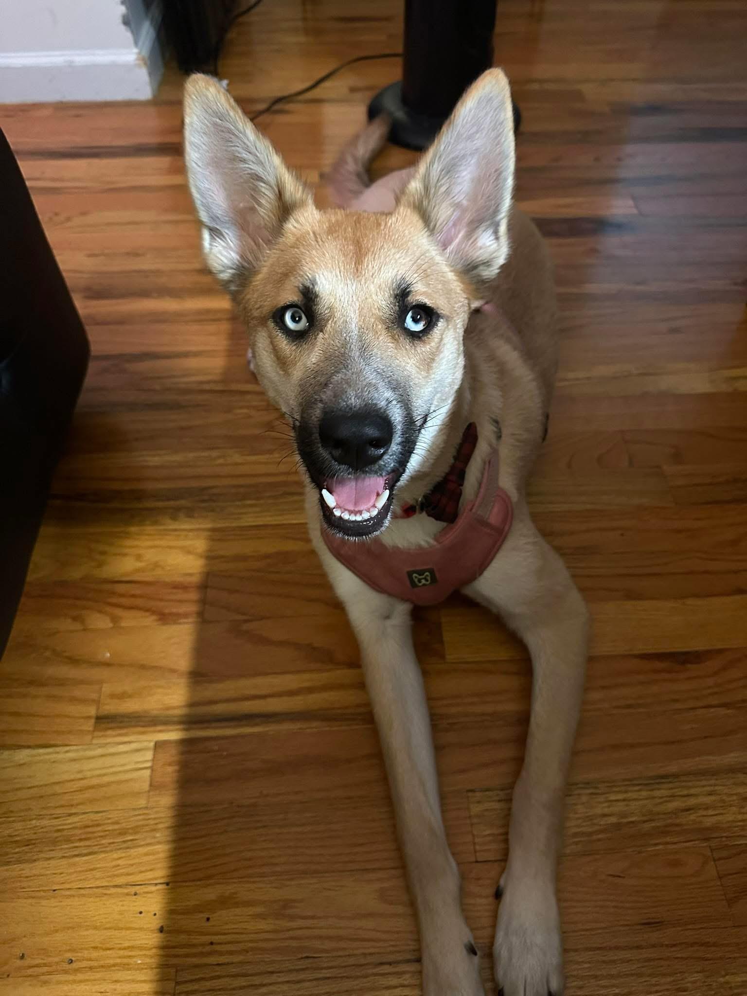 Lexi photo 3