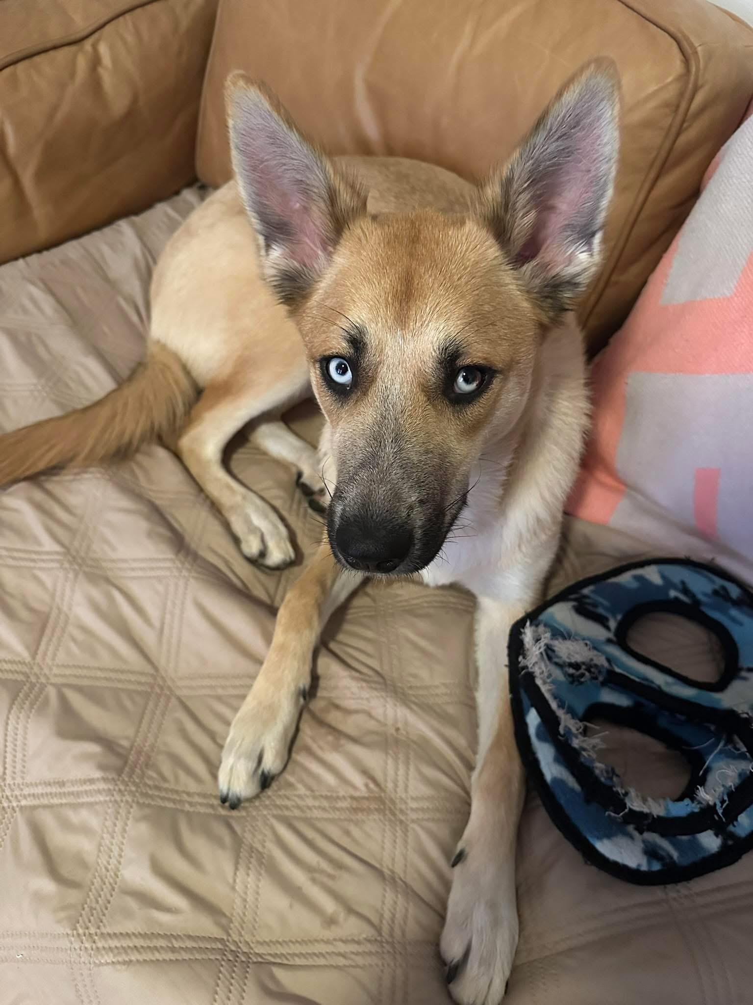 Lexi photo 4
