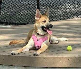 Lexi photo 6