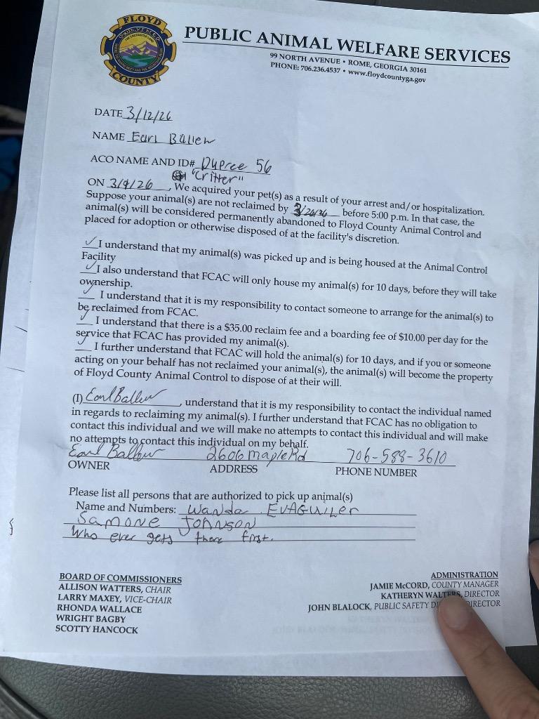 Enlarge CRITTER, a Adoptable mixed breed in Rome, GA image 1/2