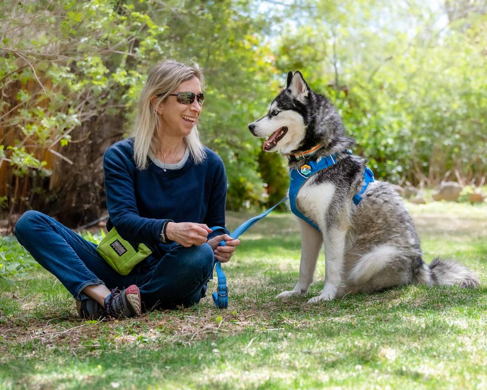 Enlarge Iceland , a ADOPTABLE mixed breed in Boulder, CO image 3/6