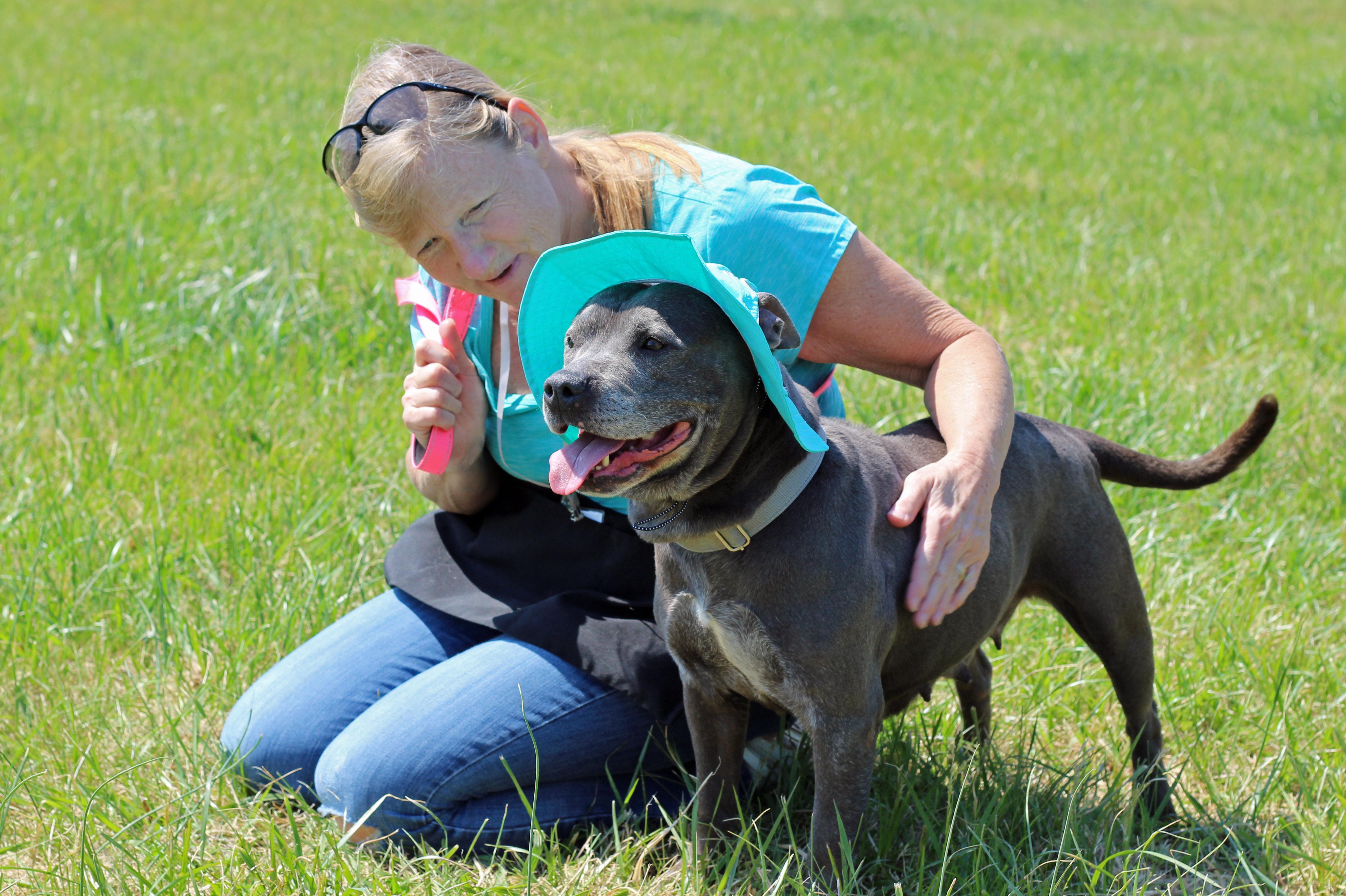 Enlarge Piggly, a ADOPTABLE mixed breed in Lebanon, TN image 5/6