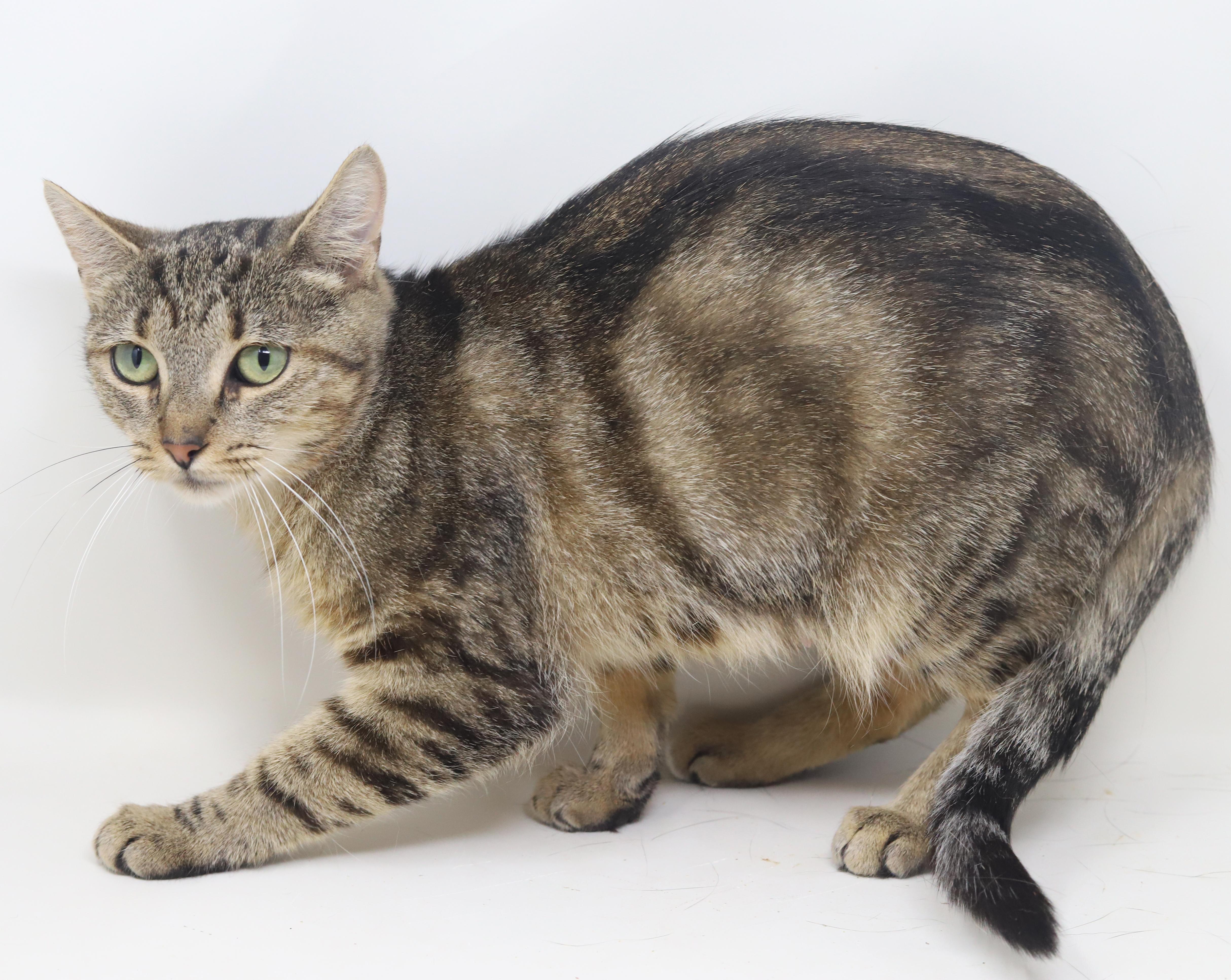 Bernadette Is A Beauty thumbnail 3