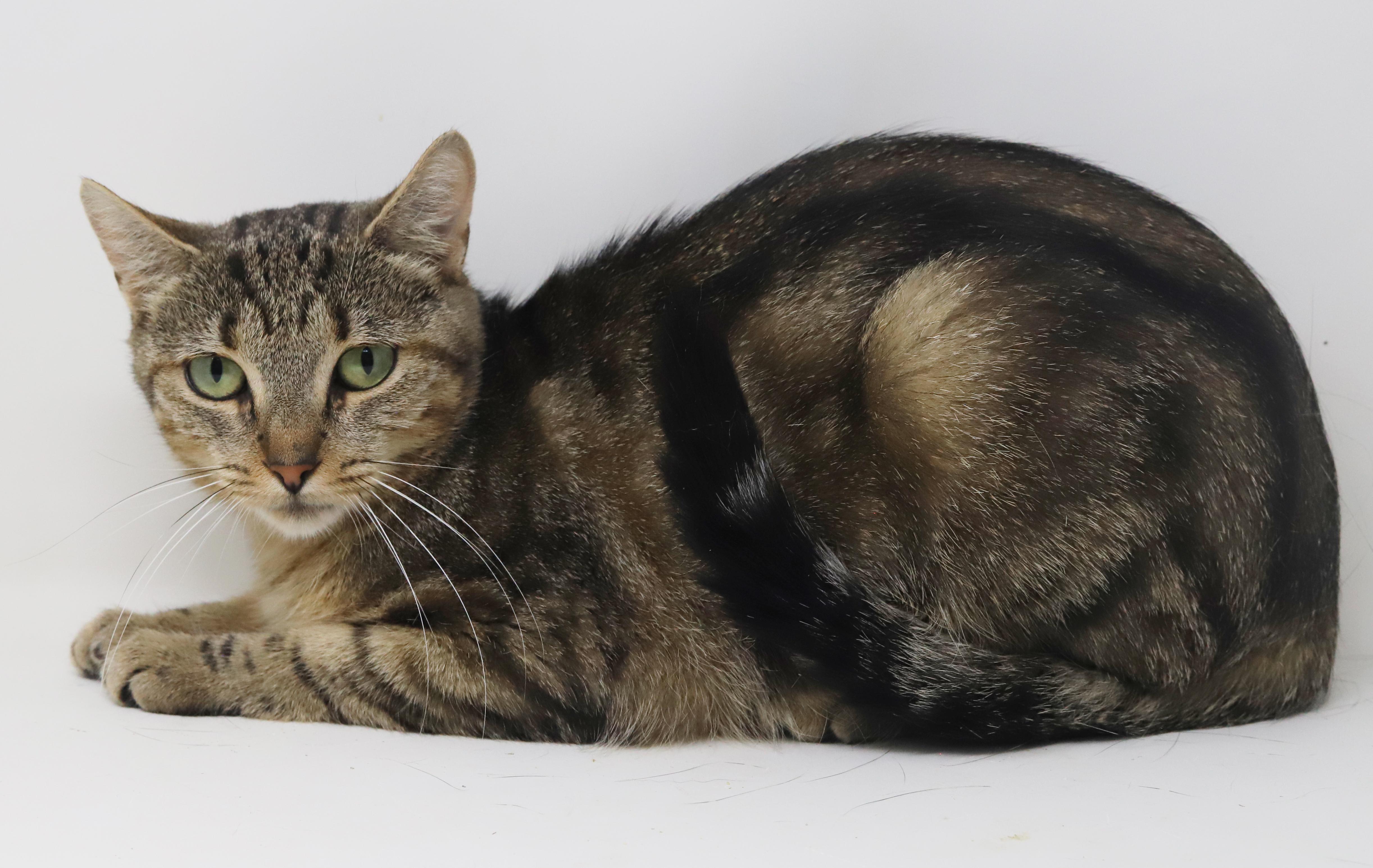 Bernadette Is A Beauty thumbnail 2