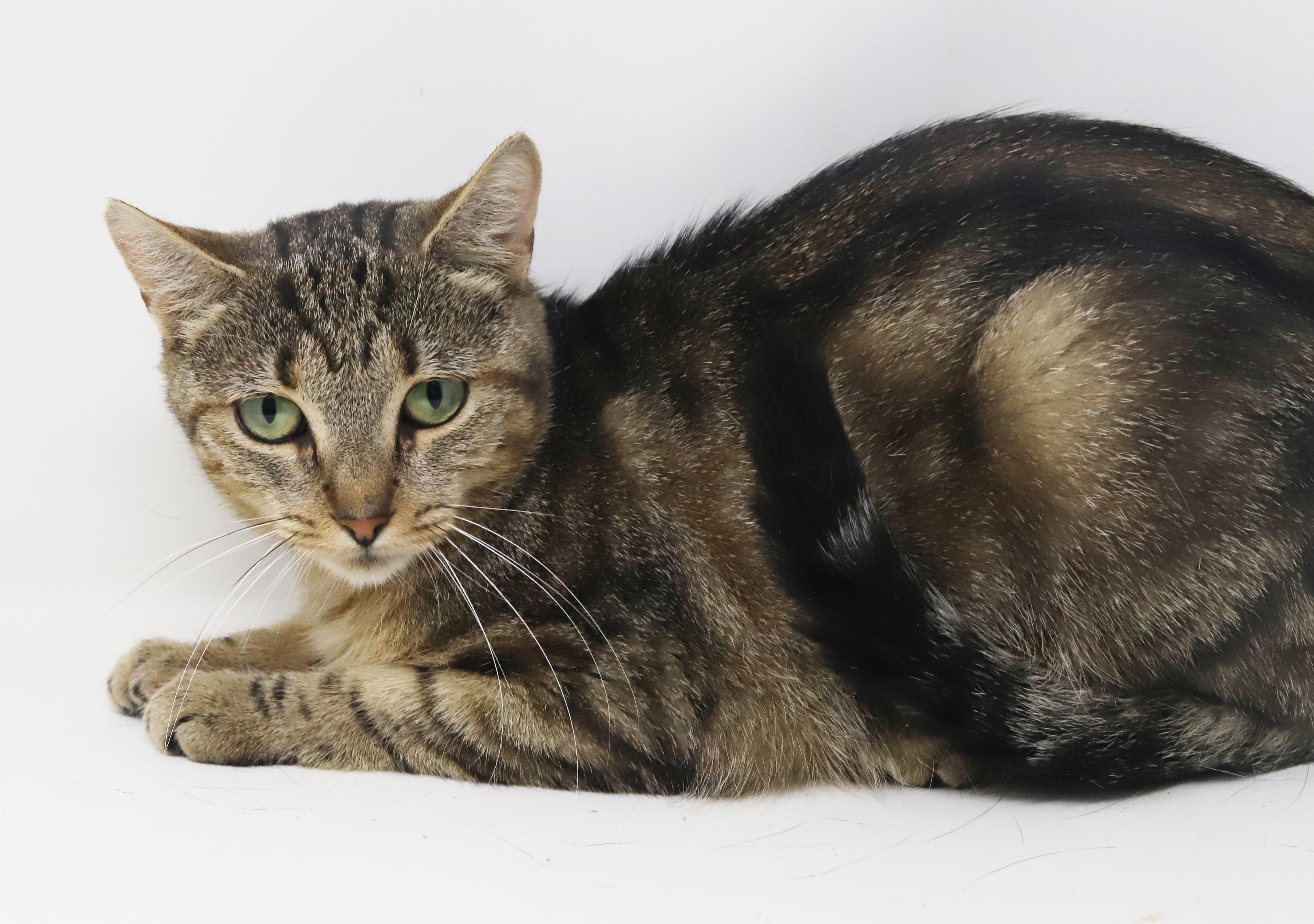 Bernadette Is A Beauty thumbnail 4