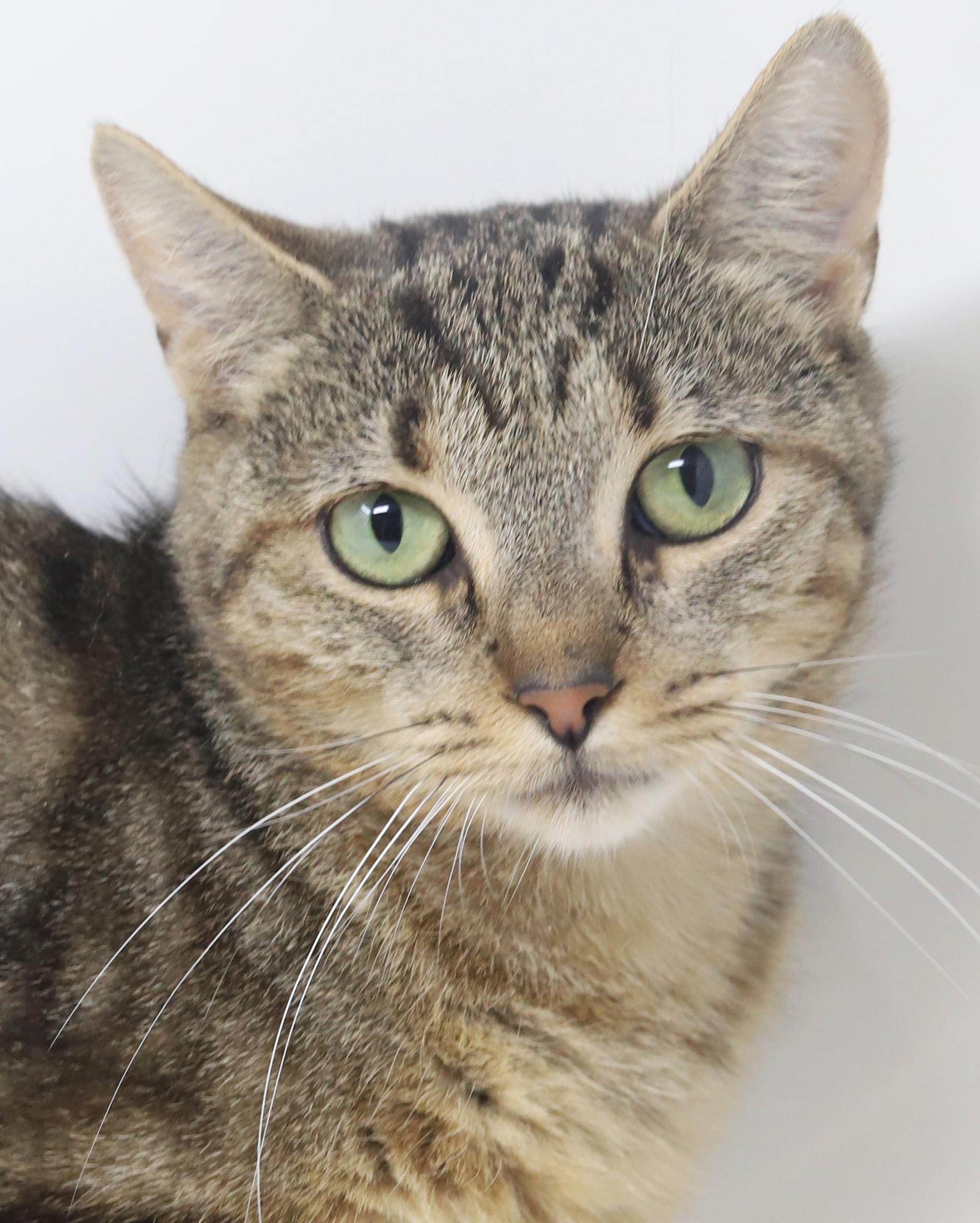 Bernadette Is A Beauty thumbnail 5