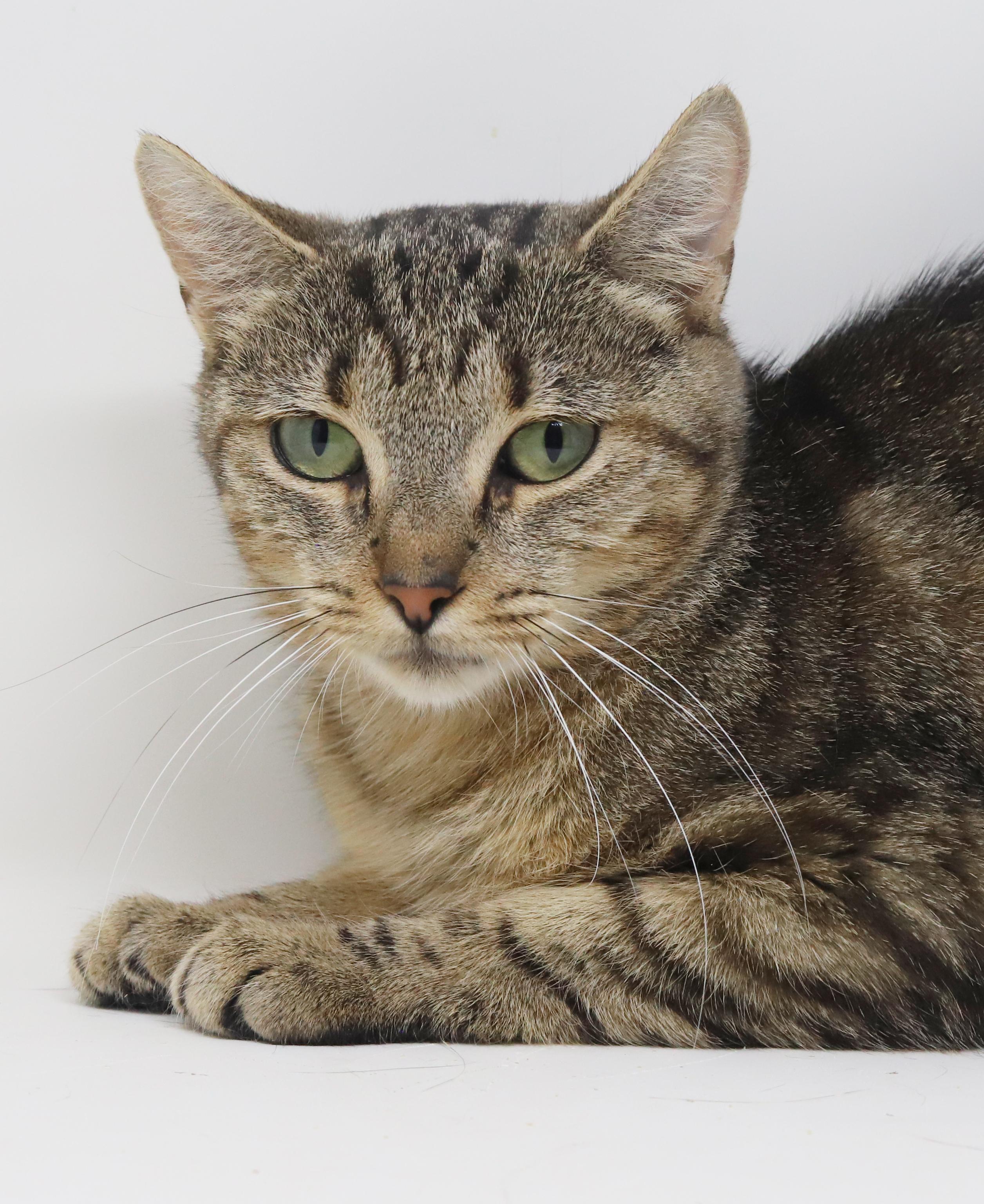 Bernadette Is A Beauty thumbnail 6