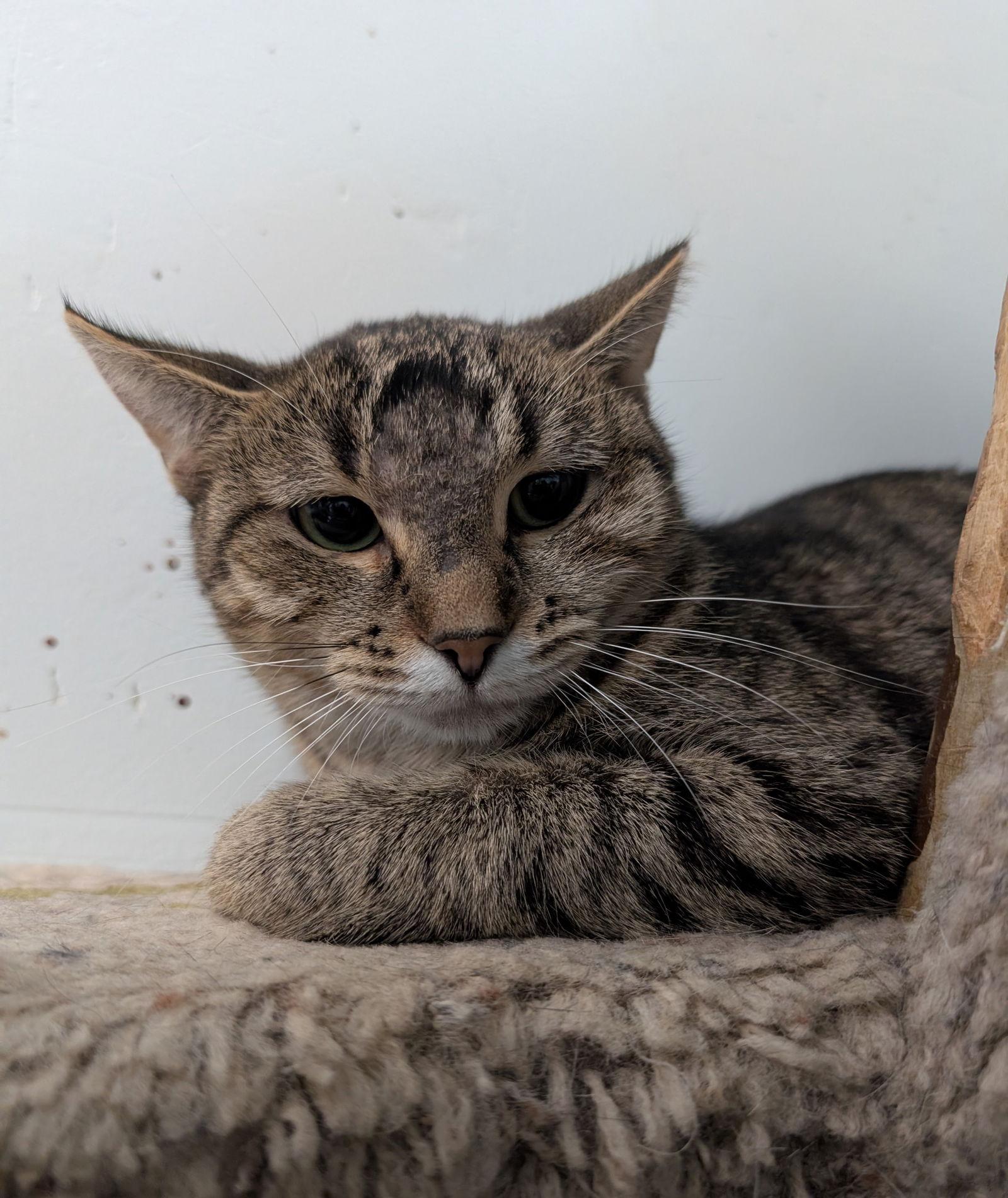 Loretta Lynn — thumbnail 2