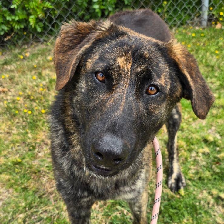 Jake from State Farm