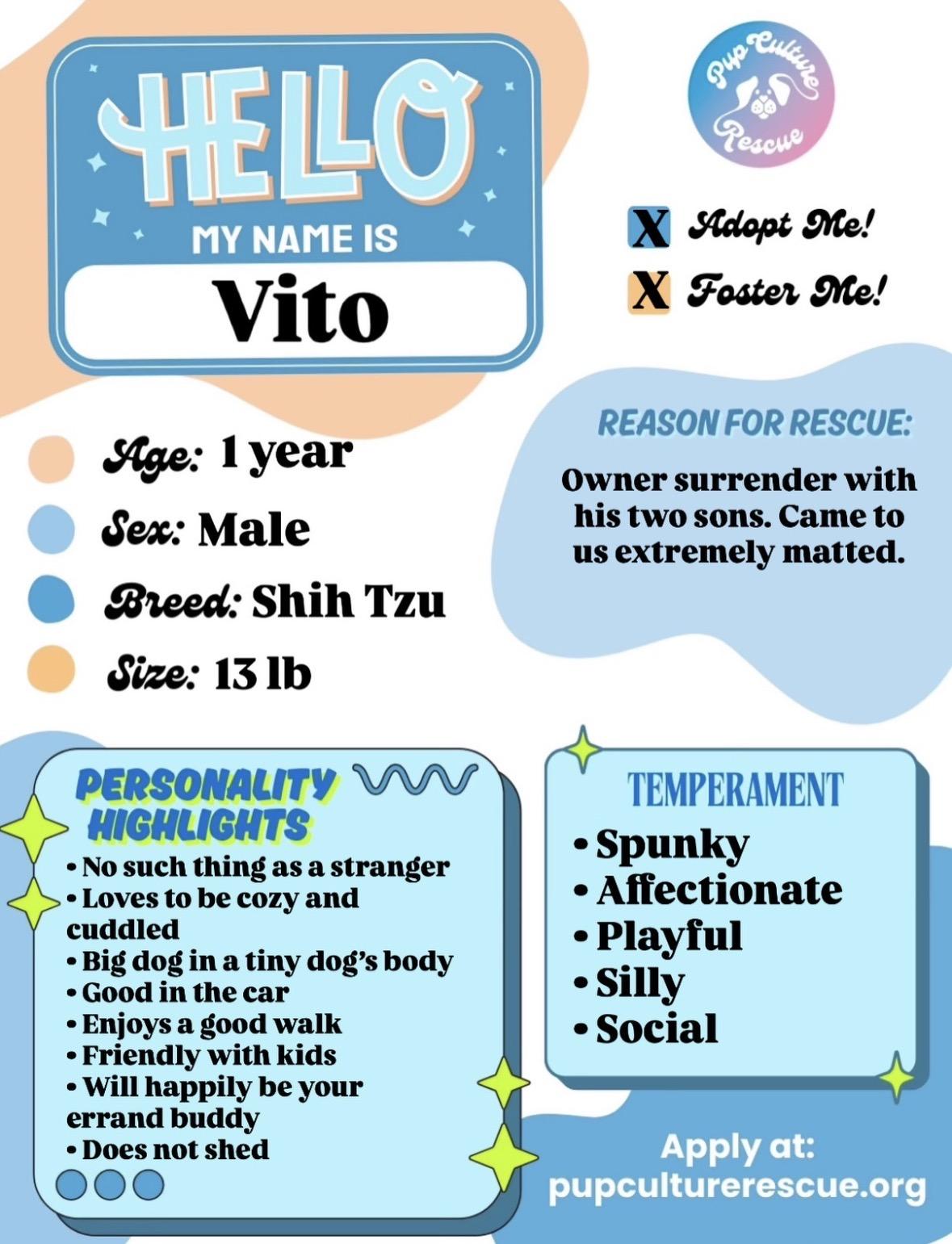 Enlarge Vito, a ADOPTABLE mixed breed in Pasadena, CA image 2/6