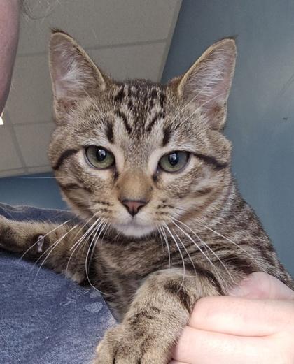 Wyatt  I Am thumbnail 2