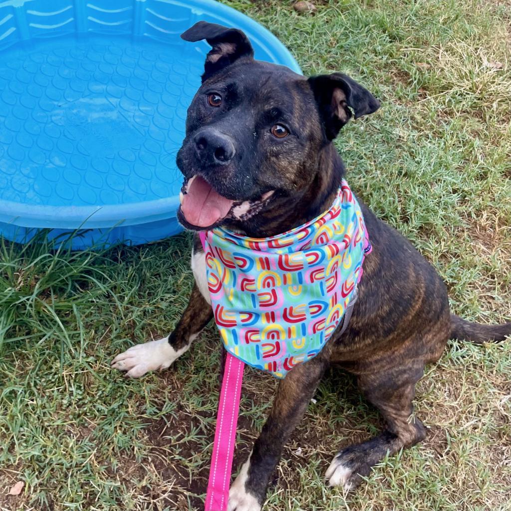 Eldorado thumbnail 2