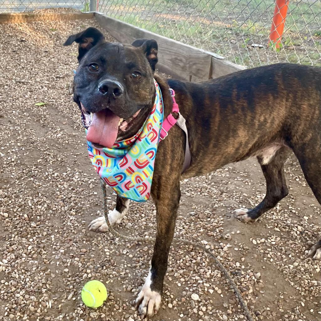 Eldorado thumbnail 6