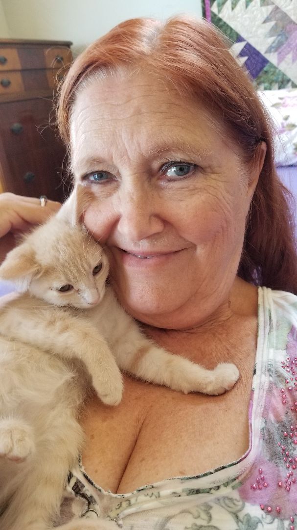 Esau, a Adoptable mixed breed in Valley Center, CA image 3/6