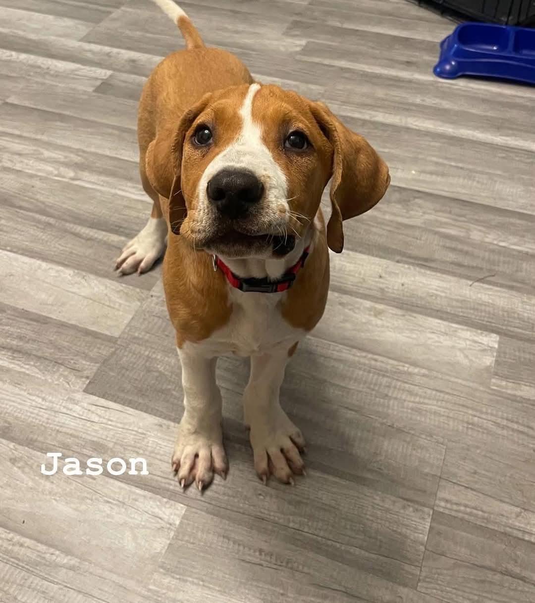 Jason photo 1