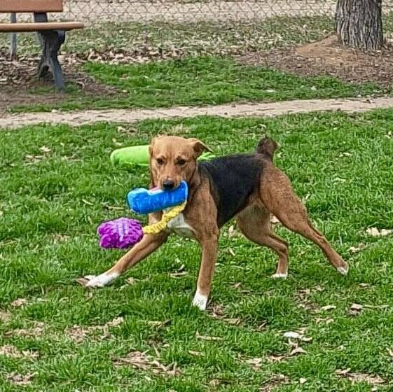 Annie — thumbnail 3