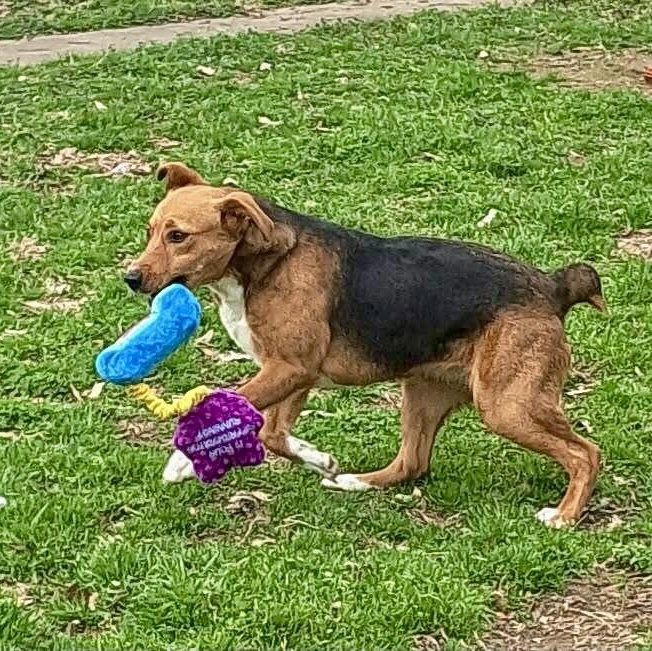 Annie — thumbnail 5