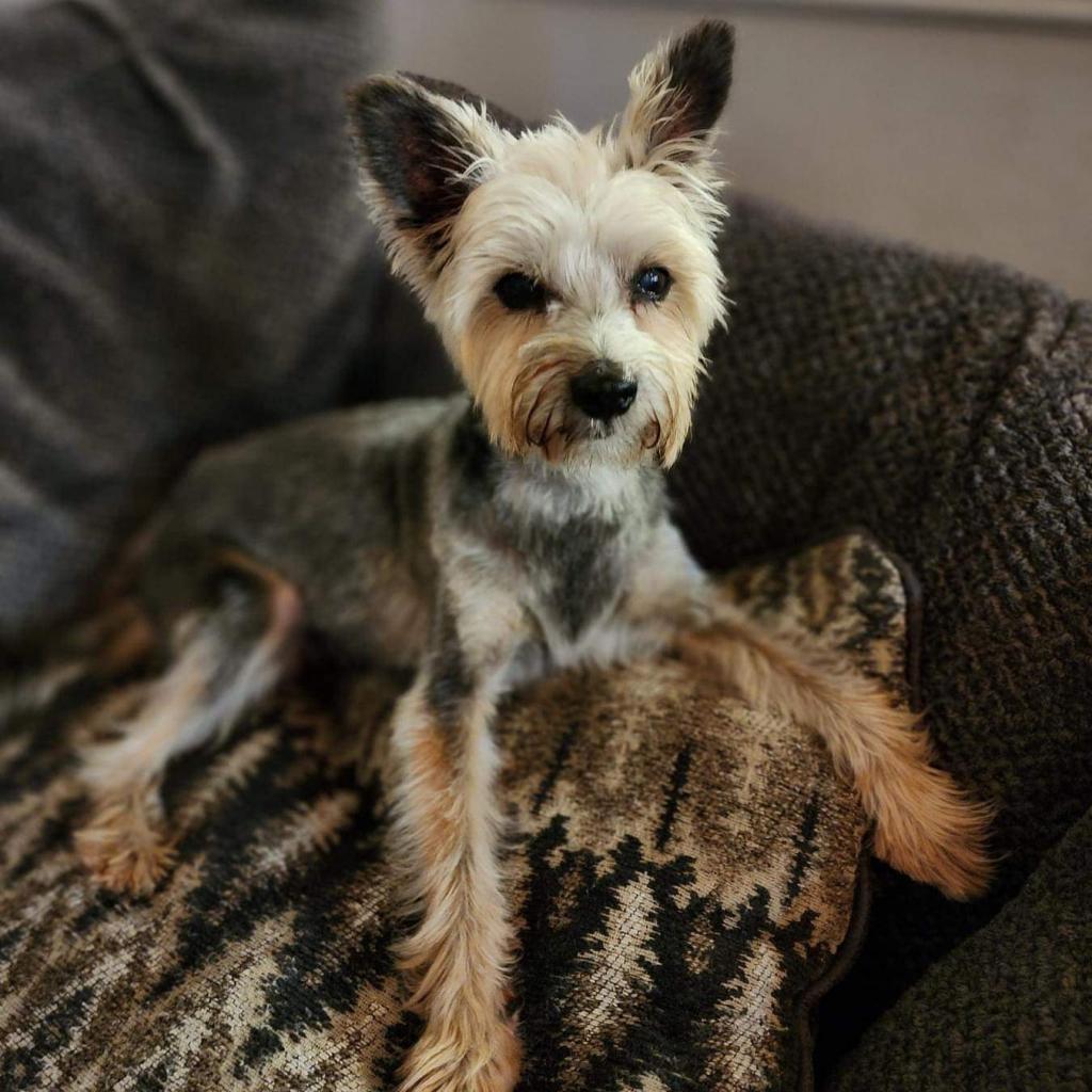 Cedric — thumbnail 3