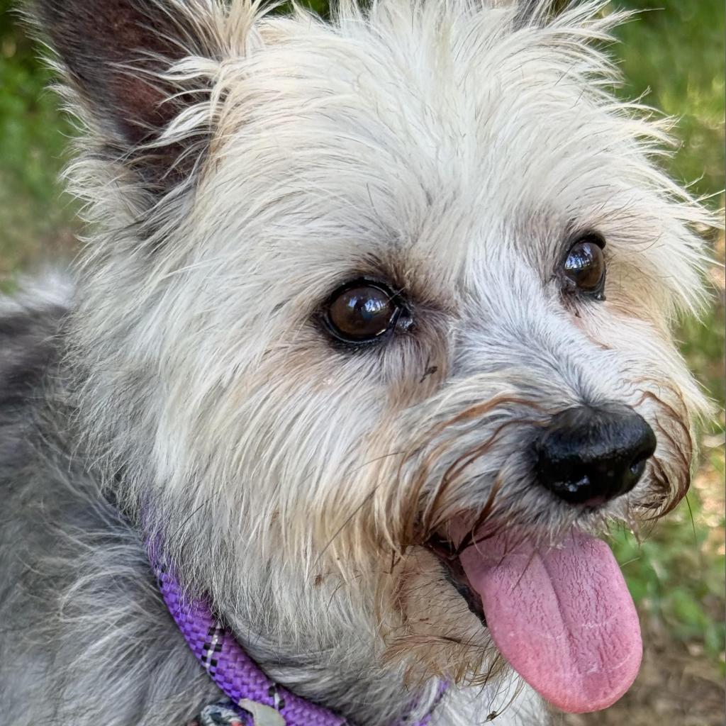 Cedric — thumbnail 5