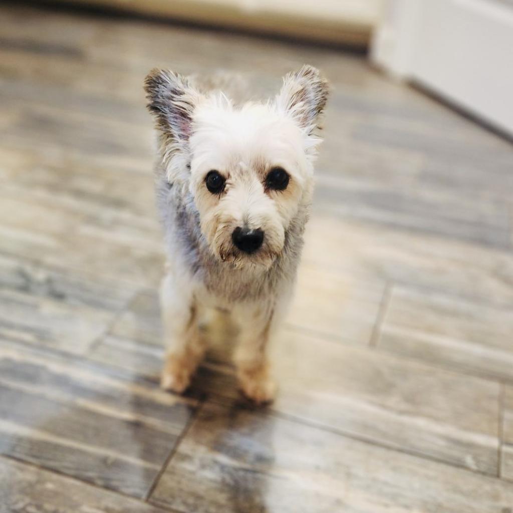 Cedric — thumbnail 6