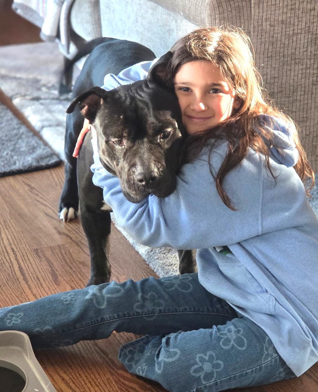 Enlarge Jett Awesome Mini Mastiff Boy! Fostering in Greenwich CT, an adopted mixed breed in Danbury, CT image 4/6