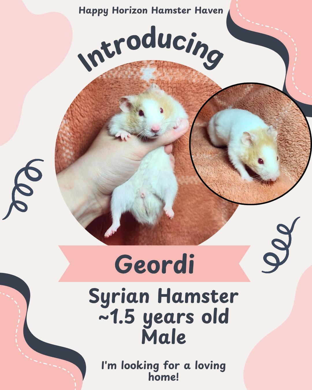 Geordi