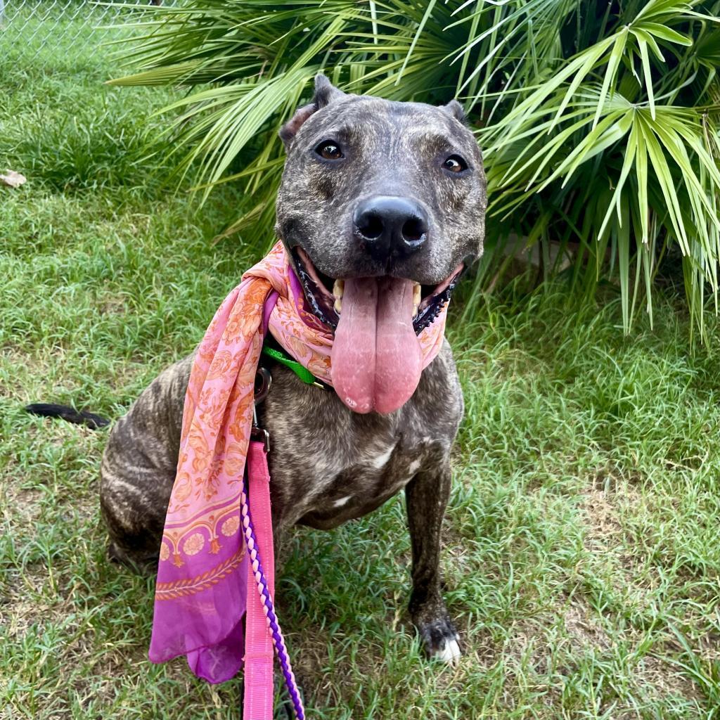 Rousseau — thumbnail 2