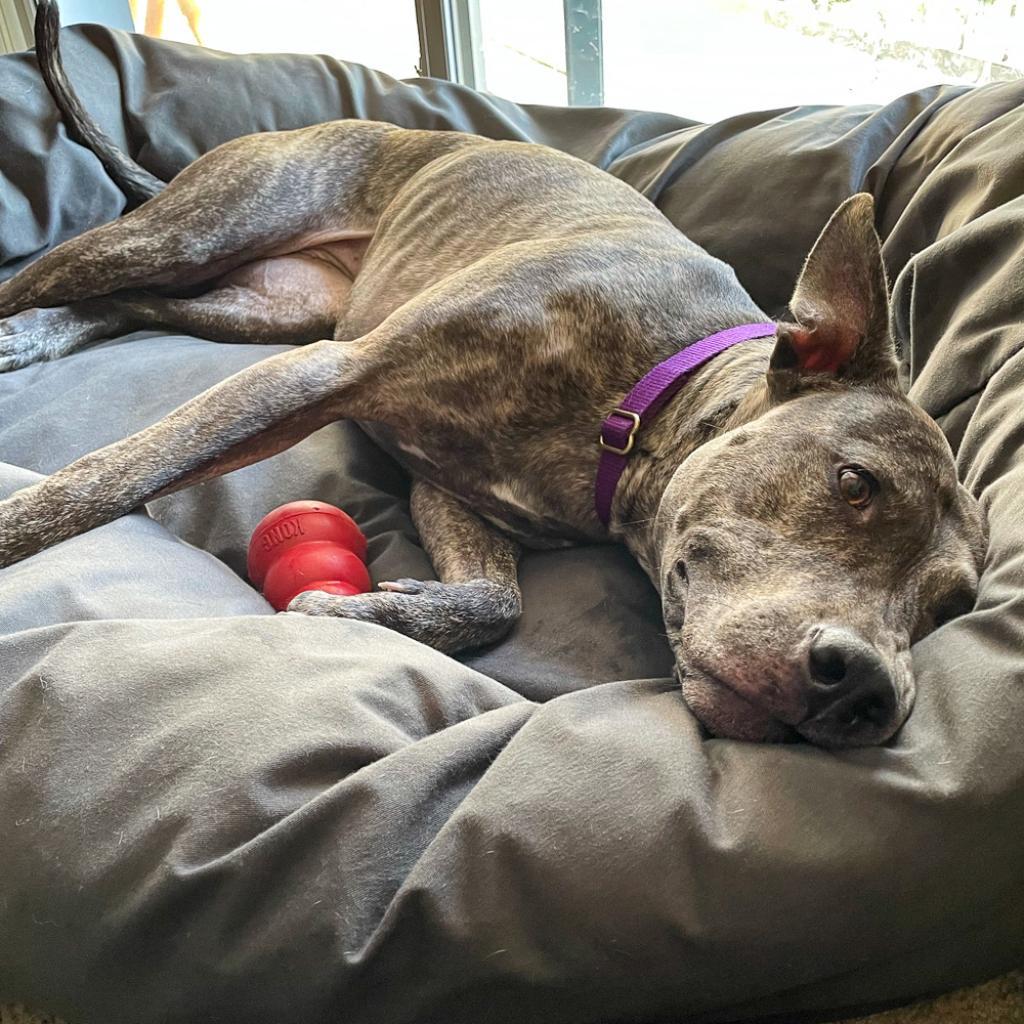 Rousseau thumbnail 2