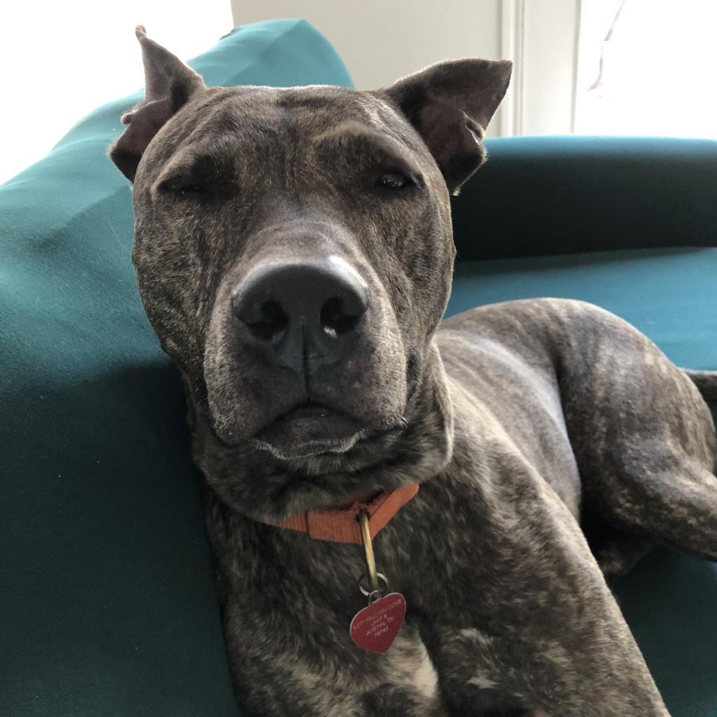 Rousseau thumbnail 4