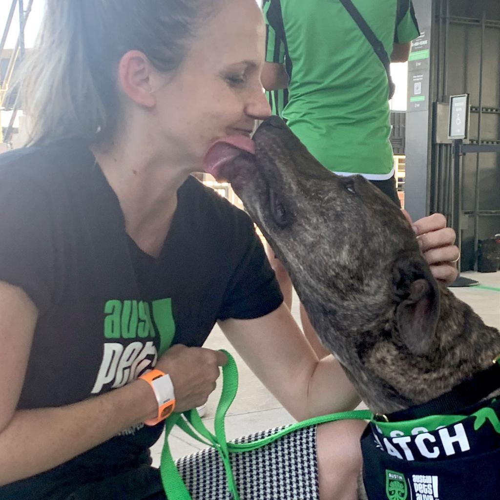 Rousseau thumbnail 5