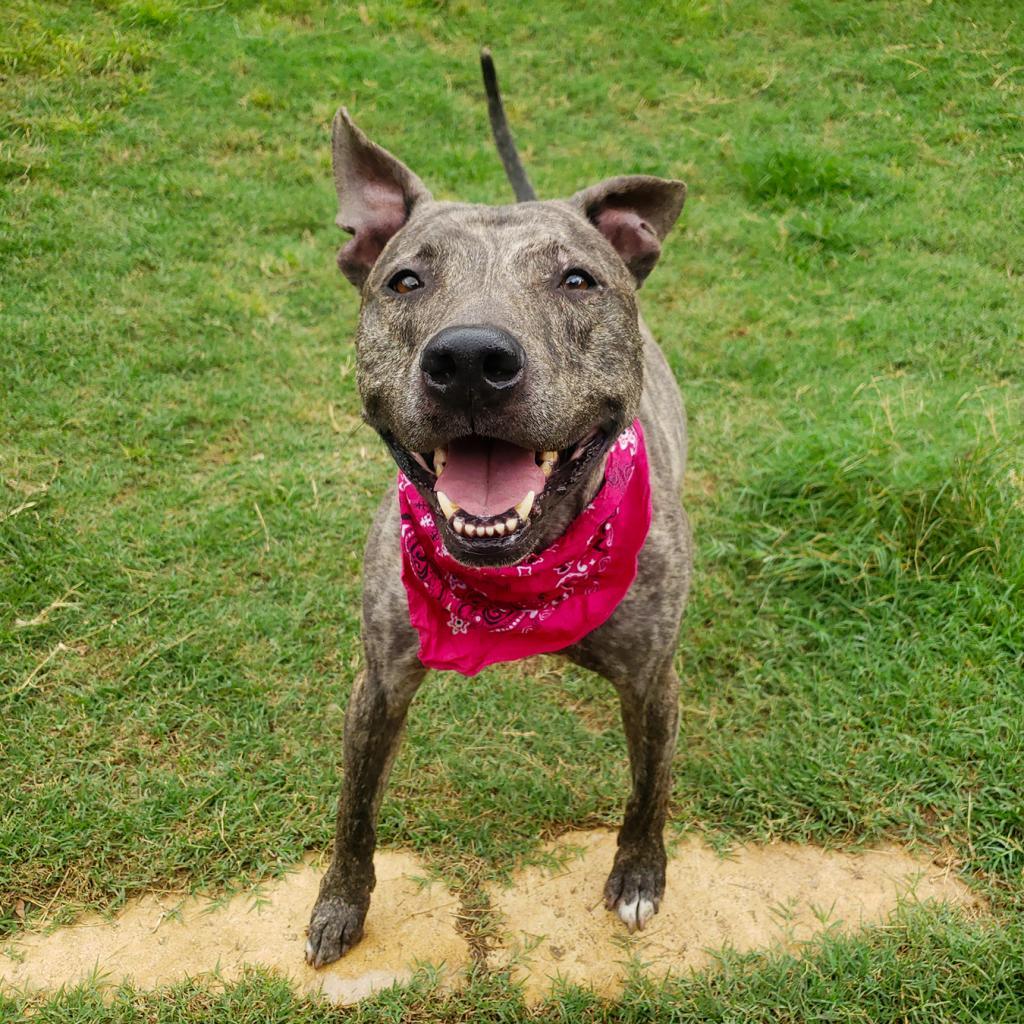 Rousseau — thumbnail 5