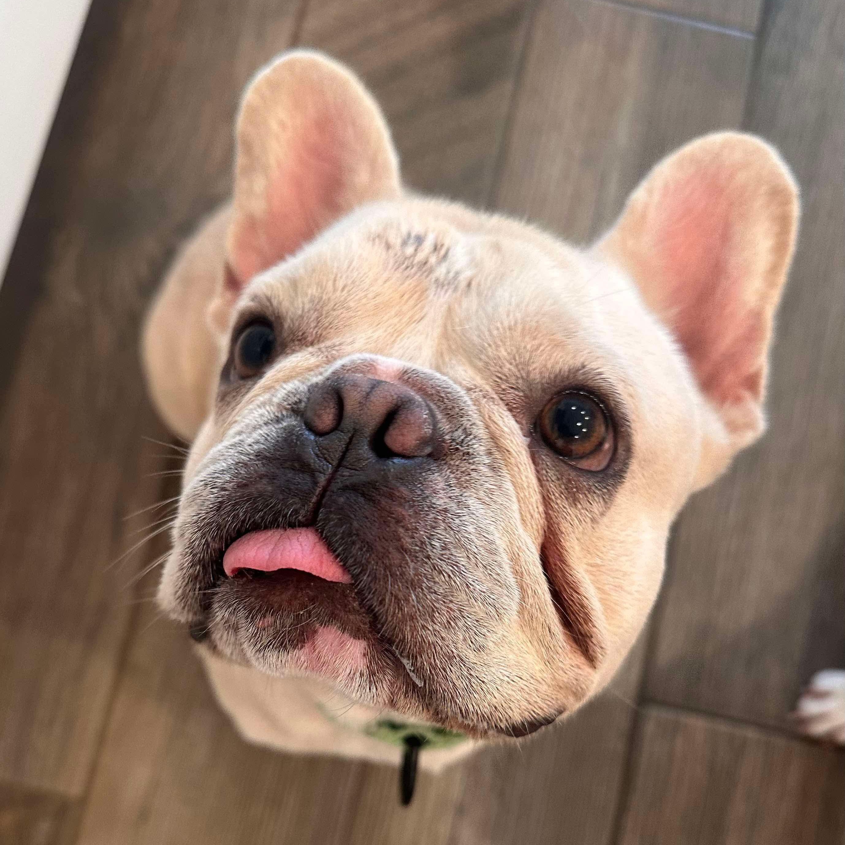 Tucker, Young Male unknown