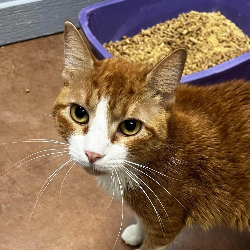 Tilly — thumbnail 3