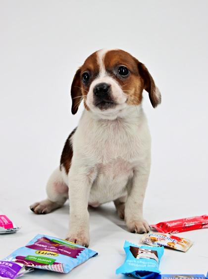 Razzles — thumbnail 2