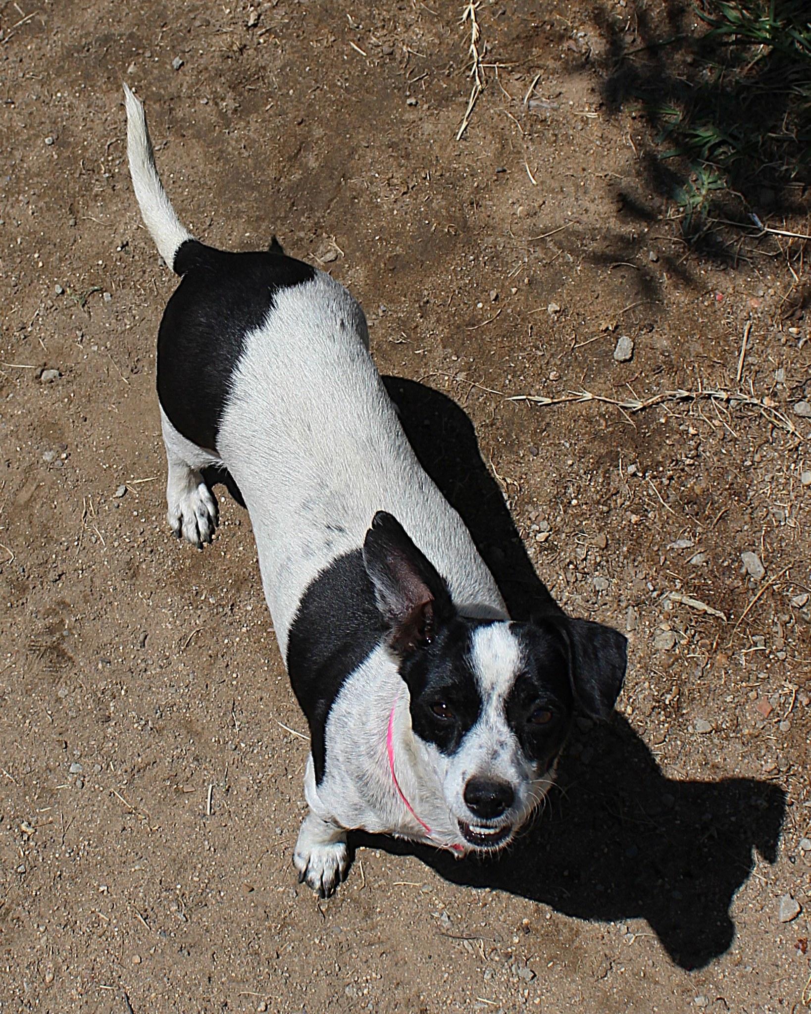 PEANUT photo 3